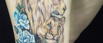 Tatouage femme lionne. Signification, images sur la main, la jambe, le dos, la hanche, l'épaule, le poignet, l'omoplate.