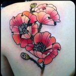 Tatouage d'un coquelicot sur l'omoplate.