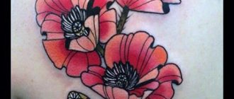 Tatouage de coquelicots sur l'omoplate