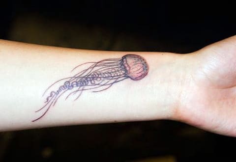 Tatouage de méduse sur le poignet