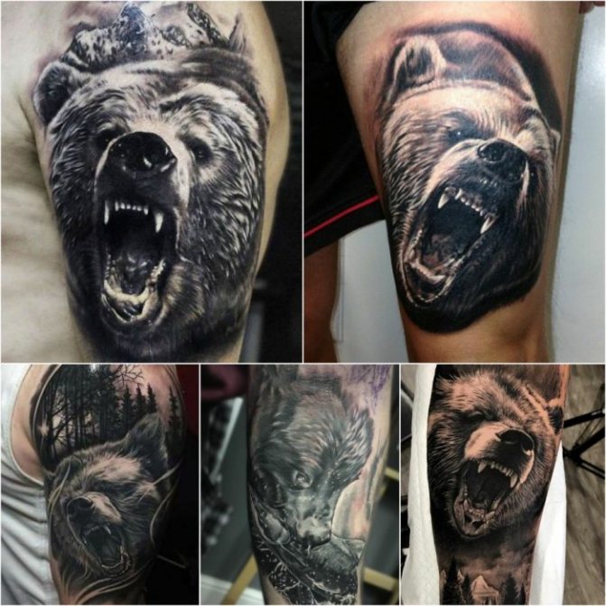 Tattoo Ours - Tatouage réaliste d'un ours - Tatouage réaliste d'un ours