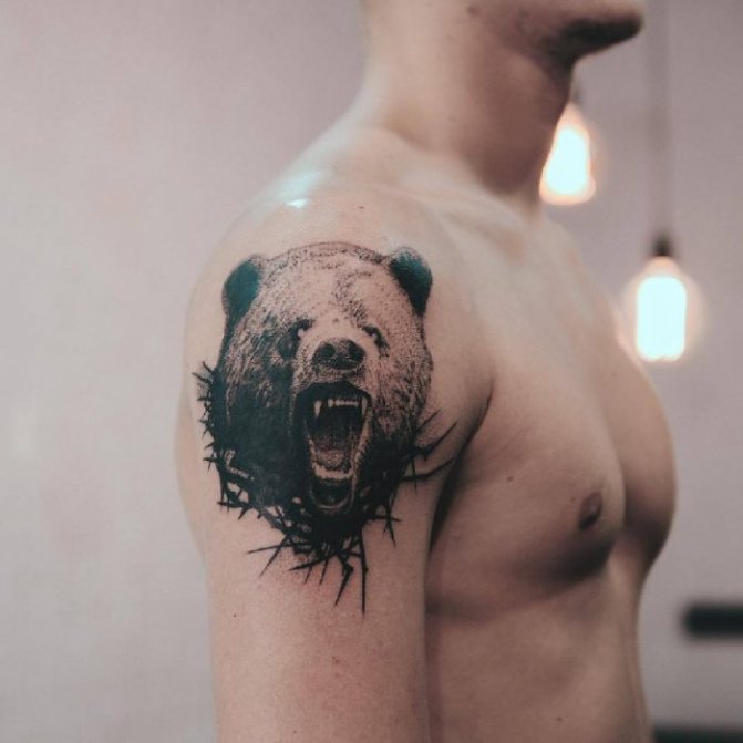Tattoo Bear - Tattoo Bear - Signification de tattoo bear