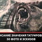 Tattoo Bear Meaning