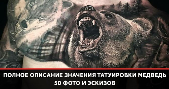 Tattoo Bear Meaning