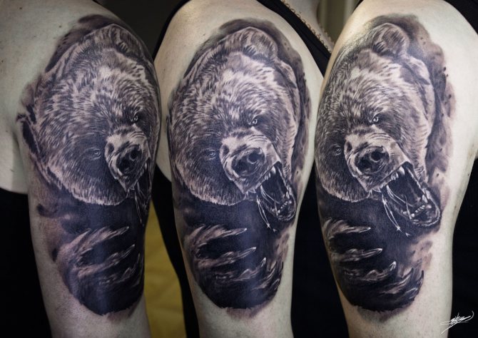 ours tatoué