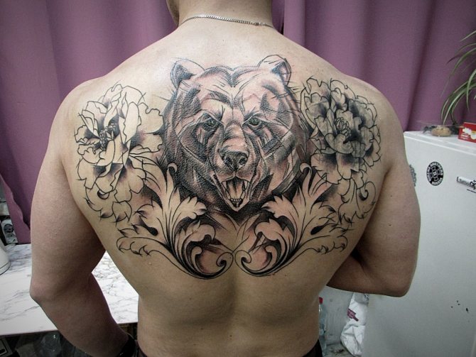ours tatoué