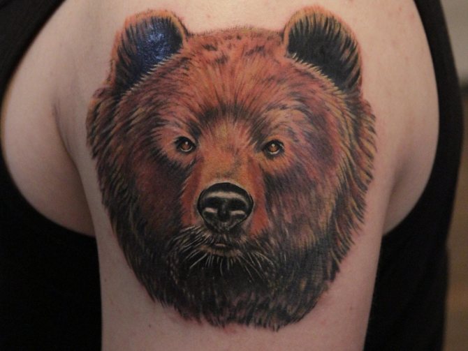ours tatoué
