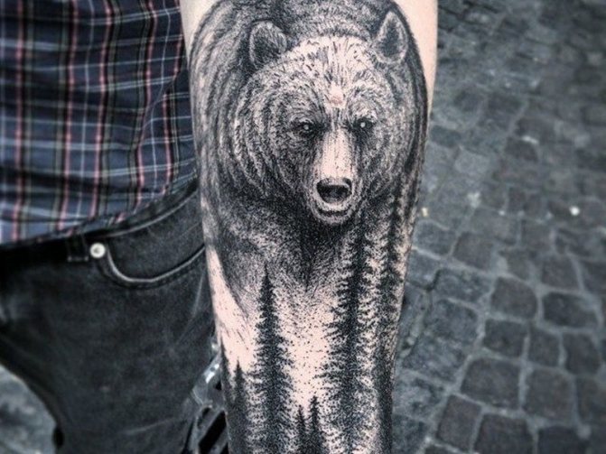 ours tatoué