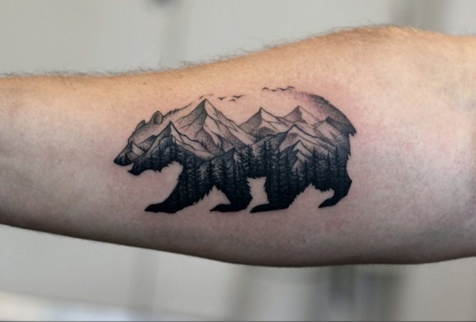 Tatouage d'un ours sur votre bras par Samovar Studio