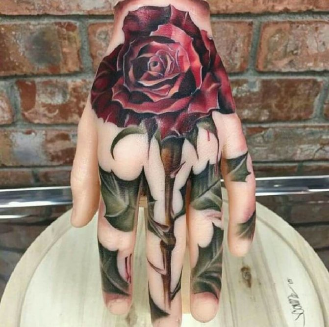 Tatouage sur la main - Tatouage sur la main - Tatouage sur la main - Tatouage sur la main Rose
