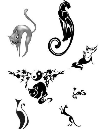 Tatouage sur la clavicule pour les filles. Croquis, légende féminine, motifs, oiseaux, fleurs, étoiles