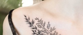 Tatouage sur la clavicule pour les filles. Esquisses, inscriptions féminines, motifs, oiseaux, fleurs, étoiles