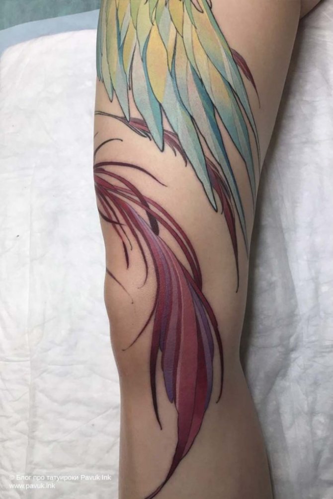 tatoo sur les genoux 27