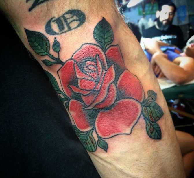Tatouage sur le coude - Tatouage sur le coude - Tatouage sur le coude - Tatouage de rose sur le coude