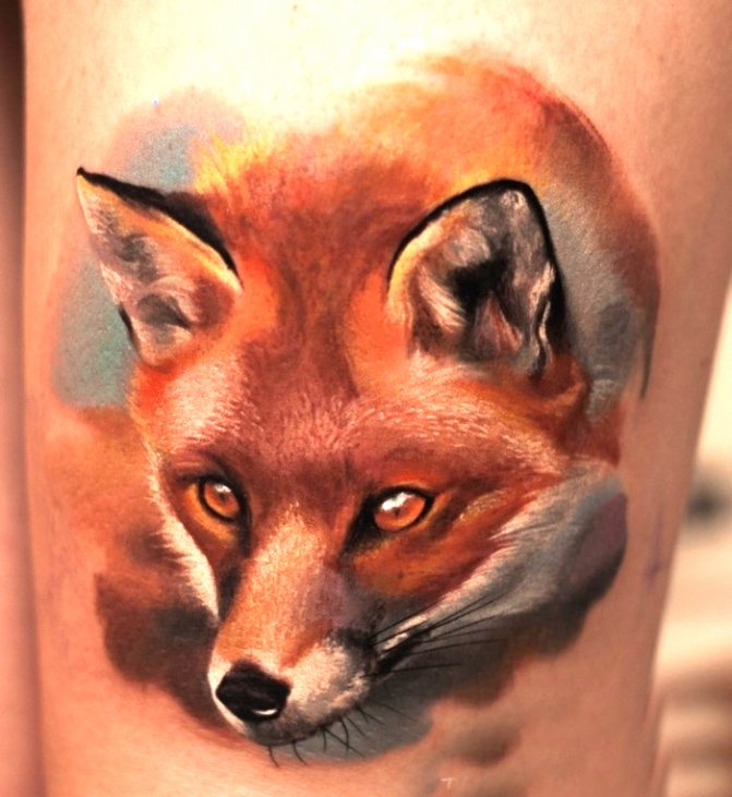 Réalisme du pied de renard tatoué