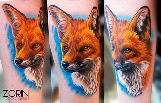 Tatouage sur l'avant-bras : le réalisme du renard