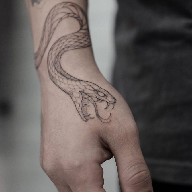 tatouage sur le bras de WUNDERKAMMER