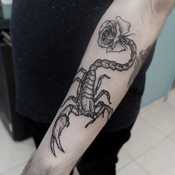 Tatouage d'un scorpion avec une rose sur une main