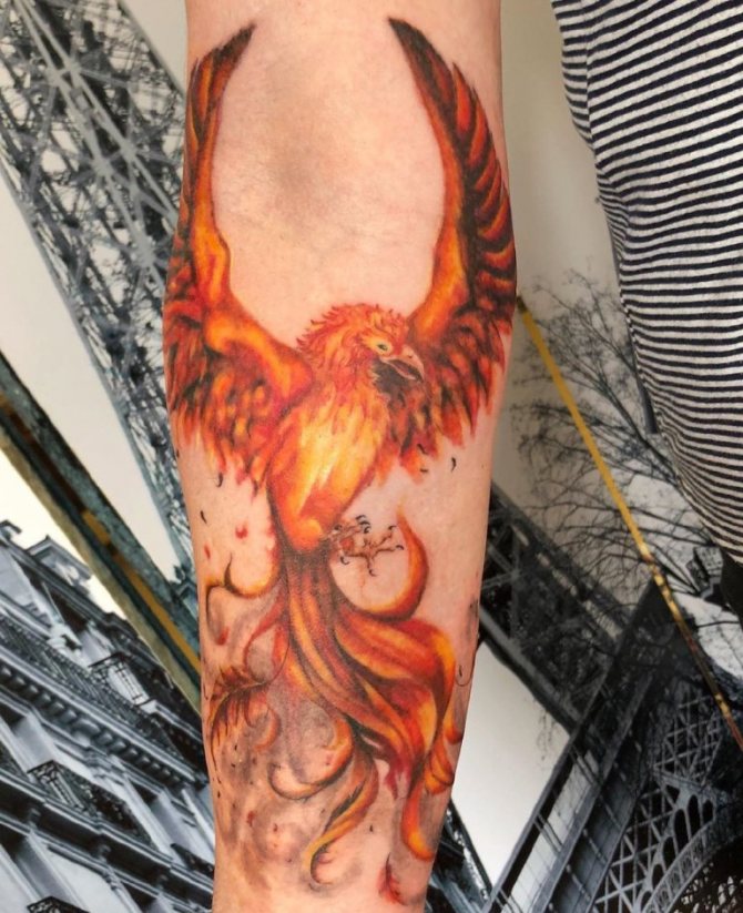 croquis de tatouage de feu