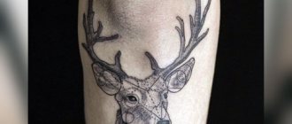 Tatouage de cerf