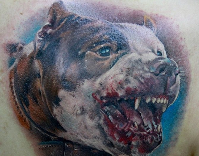 Tatouage d'un sourire de pitbull