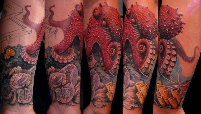 Tatouage représentant une pieuvre