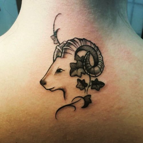 Tatouage du bélier pour les filles. Croquis, photos, valeur sur le bras, le cou, la jambe, la clavicule, le dos, l'estomac