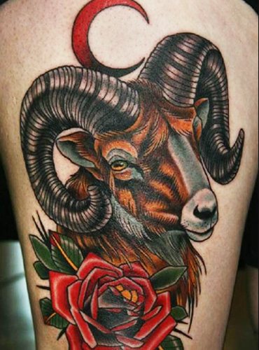 Tatouage Bélier pour les filles. Esquisses, photo, valeur sur le bras, le cou, la jambe, la clavicule, le dos, l'abdomen