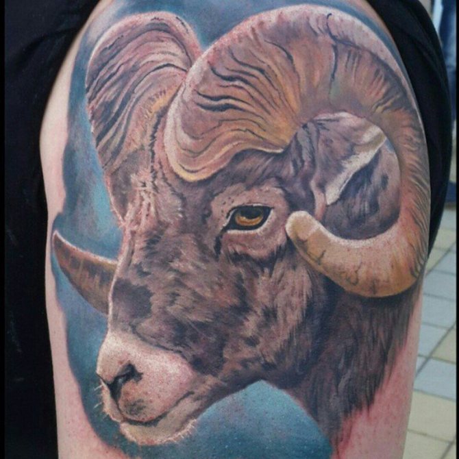 dessins de tatouages