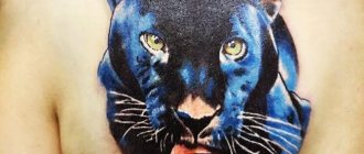 Tatouage de panthère pour les filles et les hommes - signification, idées, dessins et photos