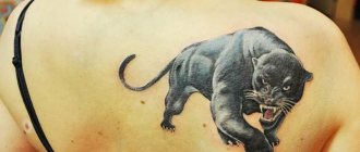 Tatouage panthère pour filles. Signification, image, sur le bras, la jambe, l'épaule, le dos, le bas du dos.