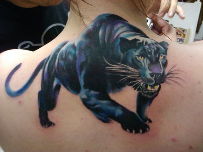 panthère tatouage réaliste sur le dos