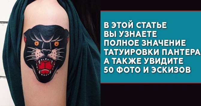 Signification du tatouage de la panthère
