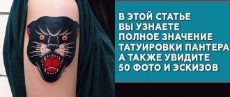 Signification du tatouage de la panthère