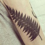 fougère de tatouage