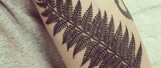 tatouage d'une fougère