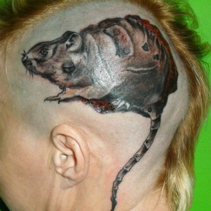 tatouage d'un rat partac sur sa tête
