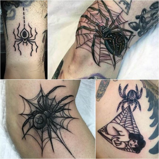 tattoo spider - tattoo spider pour homme - tattoo spider pour homme - tattoo spider pour homme