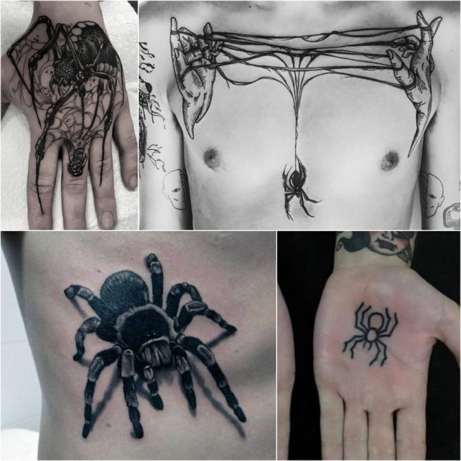 tattoo araignée - tatouage homme araignée - tatouage araignée pour homme