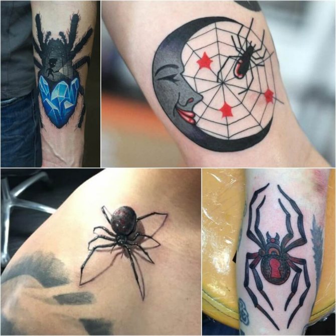 tattoo spider - tattoo spider pour homme - tattoo spider pour homme - tattoo spider pour homme