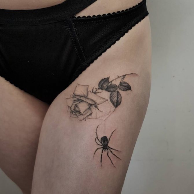 tatouage d'une araignée - tatouage d'une araignée - signification tatouage d'une araignée - croquis tatouage d'une araignée - photo tatouage d'une araignée