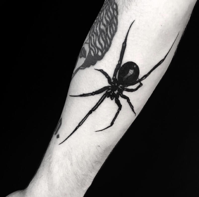 tattoo spider - tatouage araignée - signification du tatouage araignée - croquis du tatouage araignée - photo du tatouage araignée