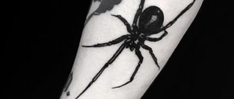 tattoo spider - tattoo a spider - signification de tattoo spider - croquis de tattoo spider - tatouage avec une photo d'araignée