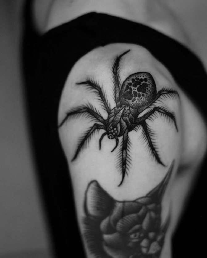 tatouage d'une araignée - tatouage d'une araignée - signification du tatouage d'une araignée - croquis du tatouage d'une araignée - photo du tatouage d'une araignée