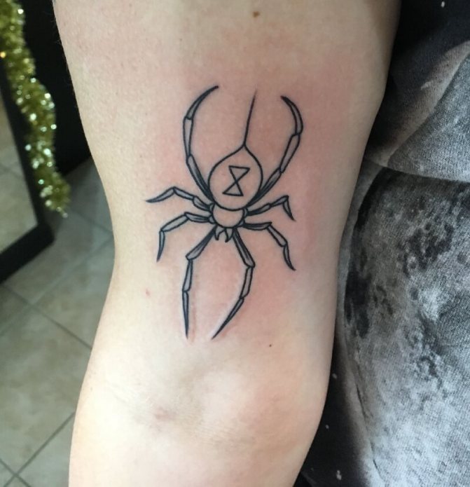 tatouage d'une araignée - tatouage d'une araignée - signification du tatouage d'une araignée - croquis du tatouage d'une araignée - photo du tatouage d'une araignée