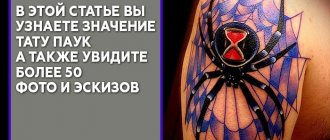 Signification du tatouage Spider