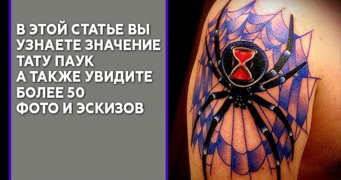 Tattoo Spider Meaning