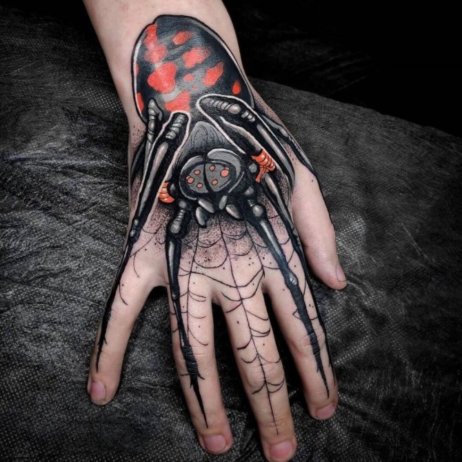 Tatouage d'une araignée sur mon bras