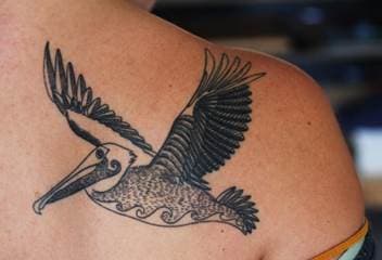 signification du tatouage Pélican