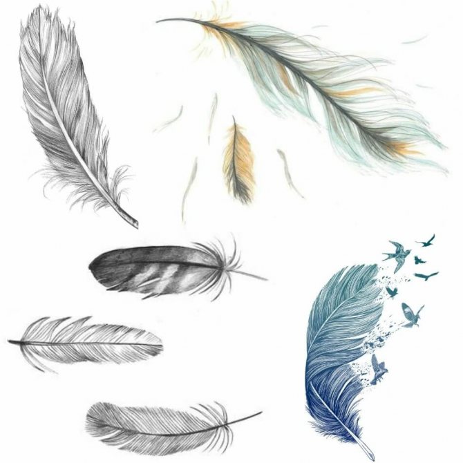 Tatouage d'une plume - Tatouage d'une plume - Tatouage d'une plume